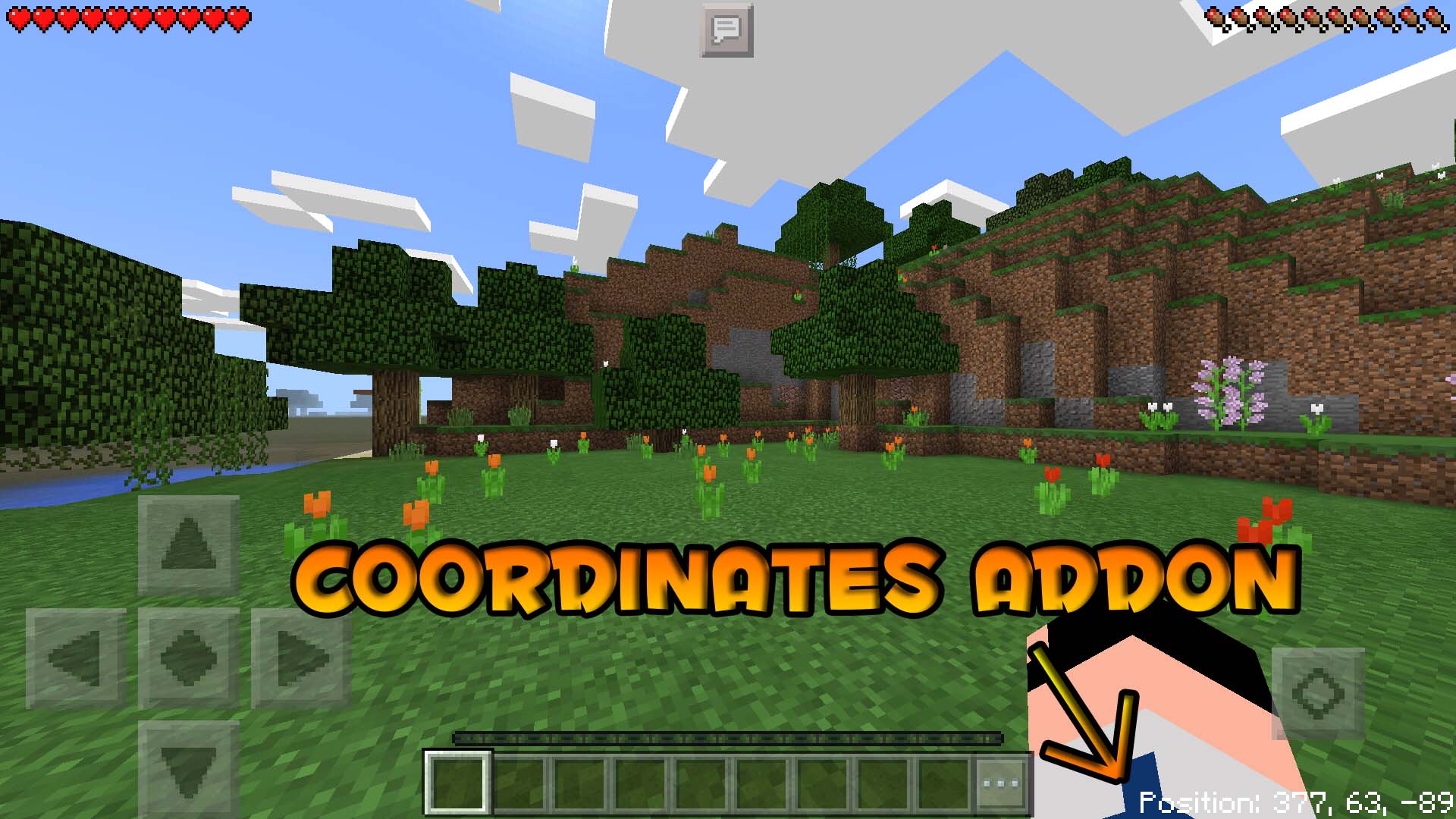 Coordinates – MCPE Mekanı